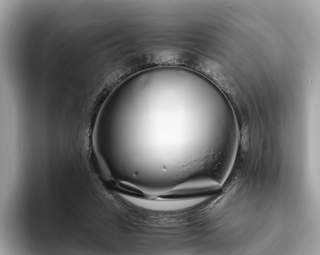 X0000094080449200710261311