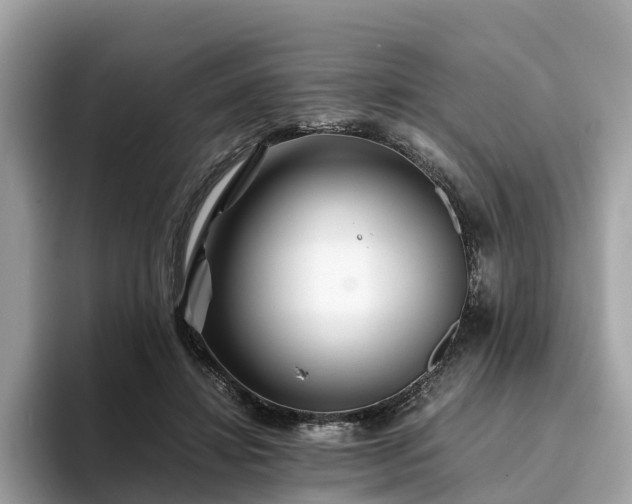 X0000094080452200710261311