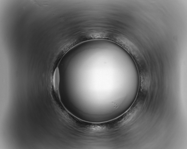 X0000094080453200710261311