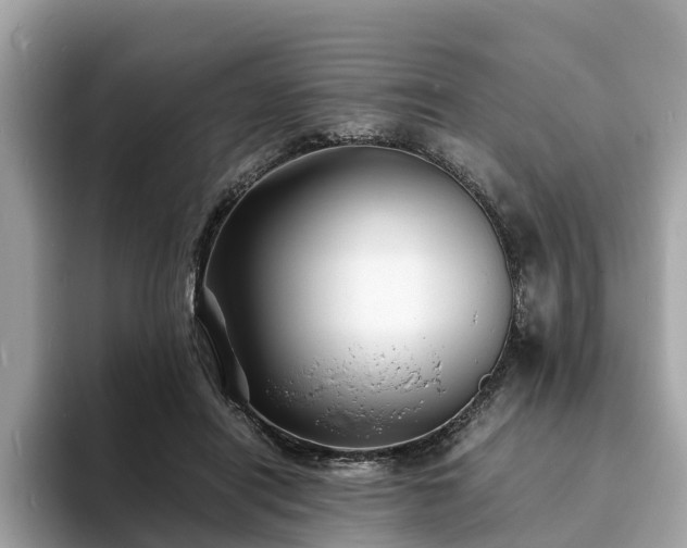 X0000094080454200710261311