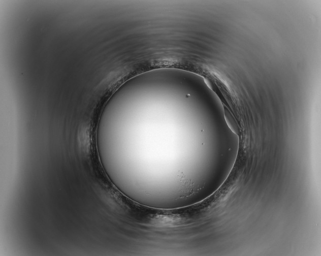 X0000094080455200710261311