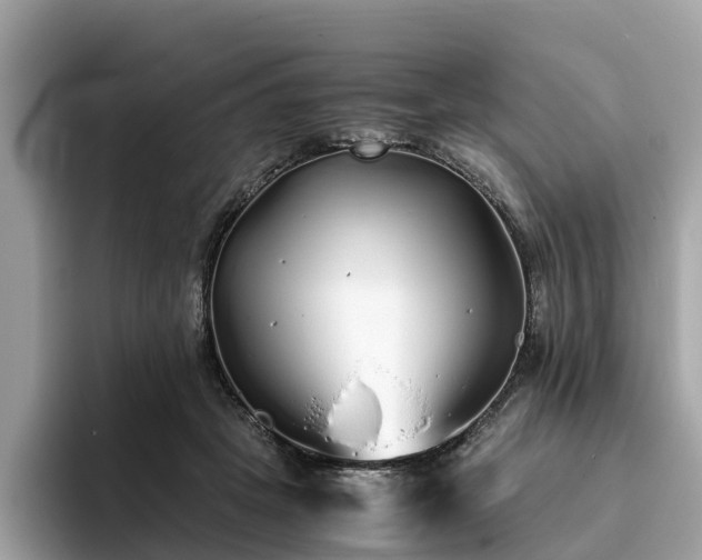 X0000094080457200710261311