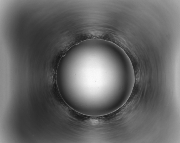 X0000094080464200710261311