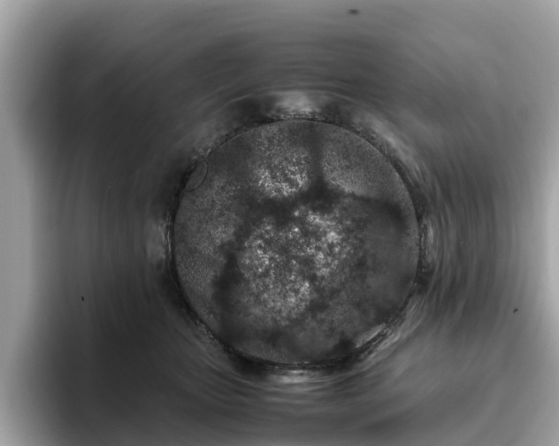 X0000094080467200710261311