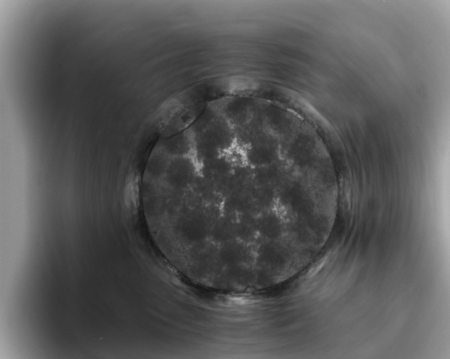 X0000094080475200710261311