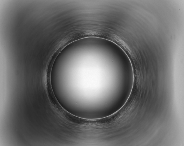 X0000094080482200710261310