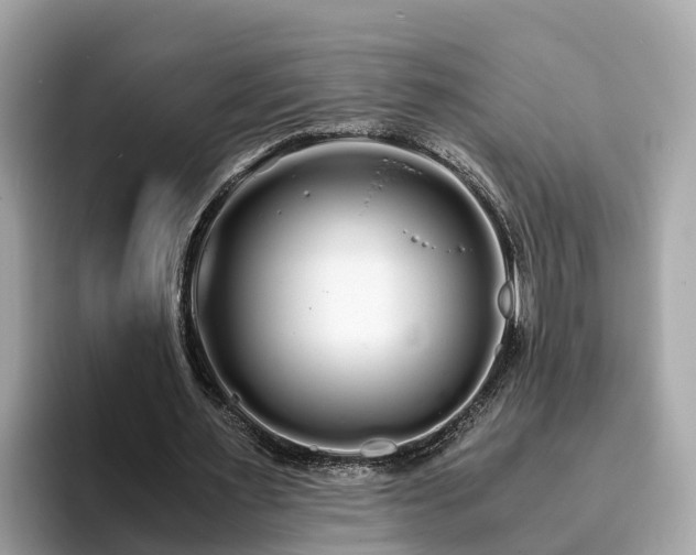 X0000094080483200710261310