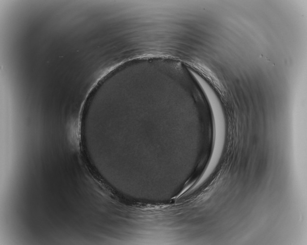 X0000094080484200710261310