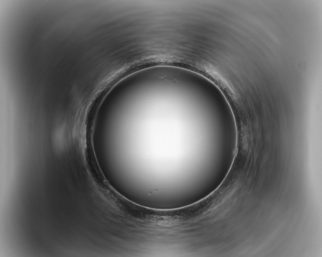 X0000094080486200710261310