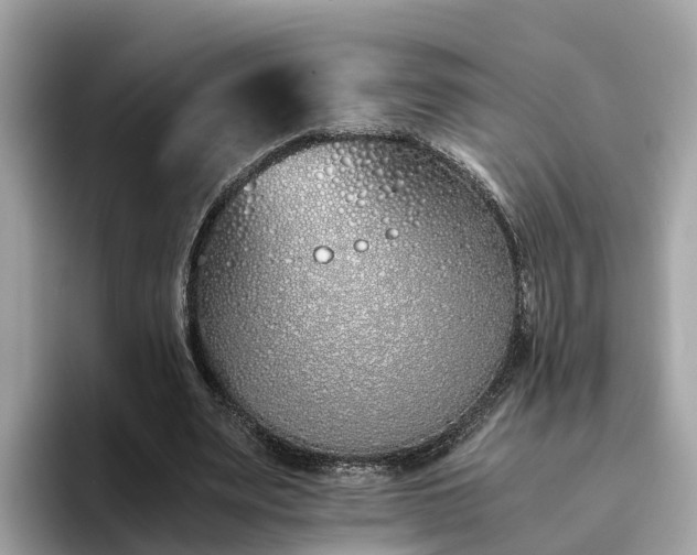 X0000094080487200710261310