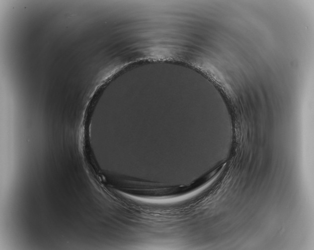 X0000094080488200710261310