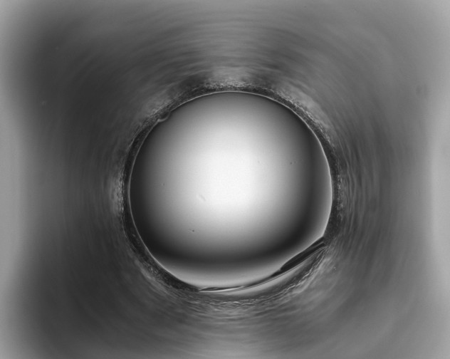 X0000094080489200710261310