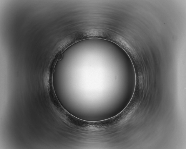 X0000094080490200710261310