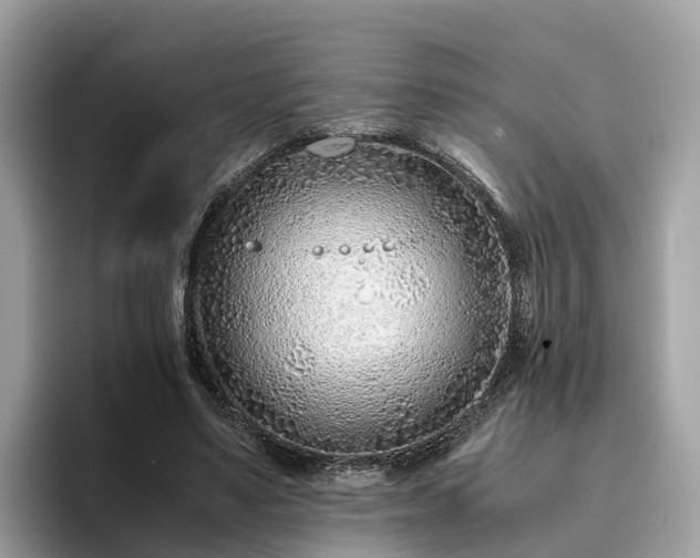 X0000094080491200710261310