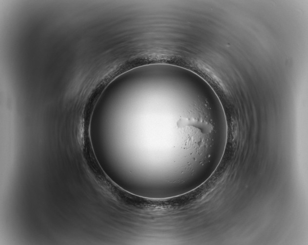 X0000094080494200710261310