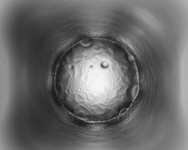 X0000094080495200710261310