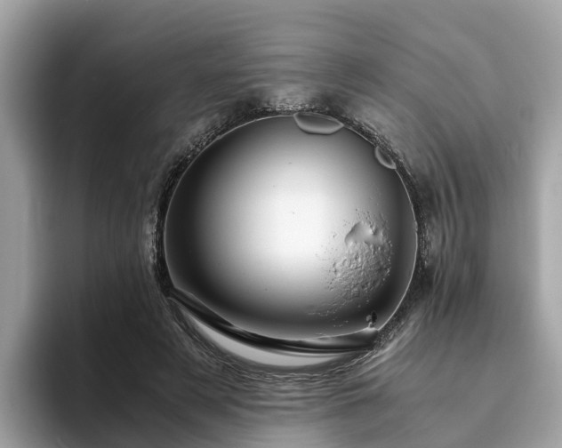 X0000094080497200710261310