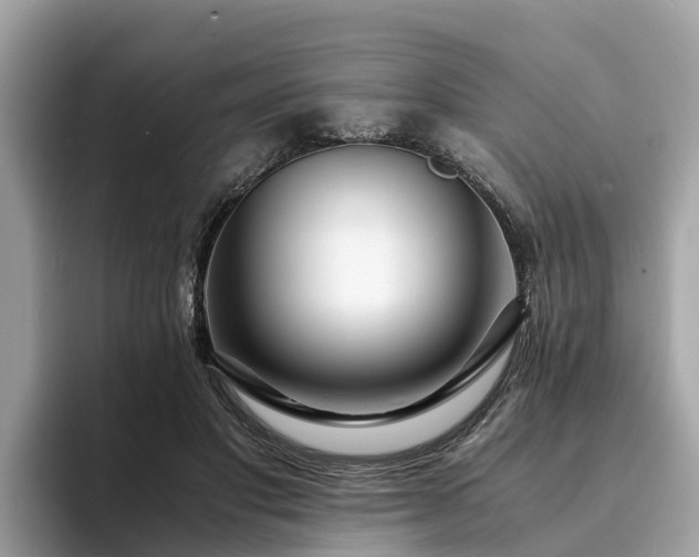 X0000094080501200710261310