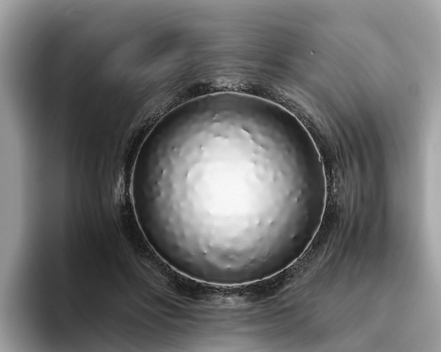 X0000094080502200710261310