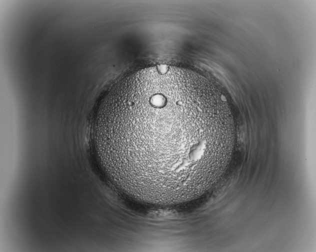 X0000094080503200710261310