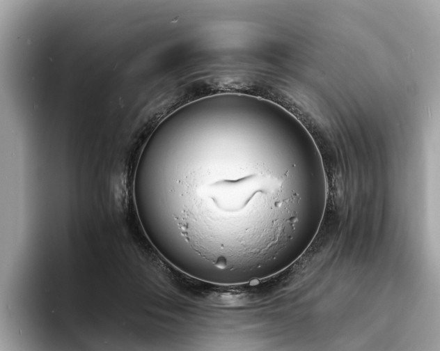 X0000094080506200710261310