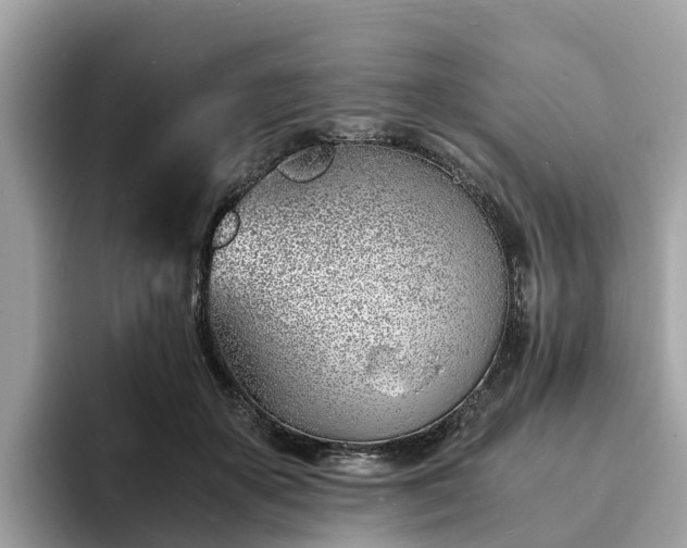 X0000094080507200710261310