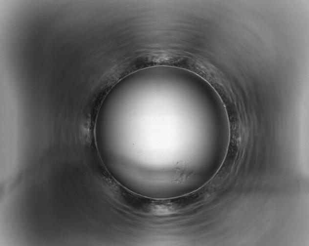 X0000094080510200710261310