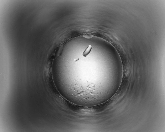 X0000094080515200710261310