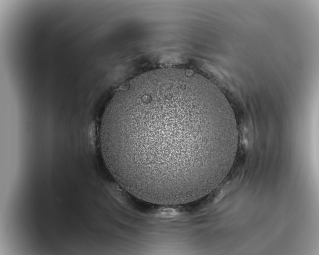 X0000094080519200710261310