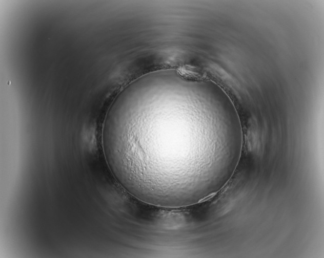 X0000094080520200710261310