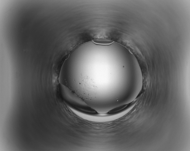 X0000094080521200710261310