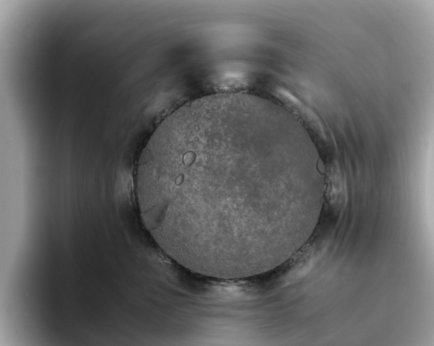 X0000094080523200710261310