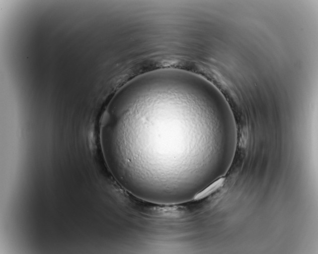 X0000094080524200710261310