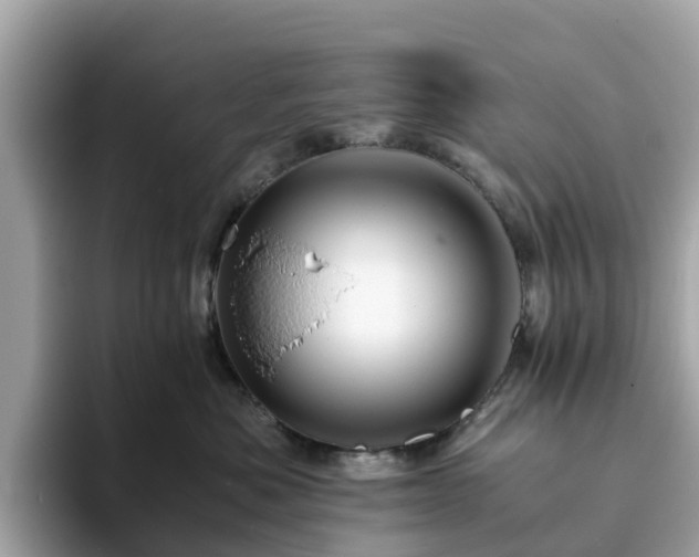 X0000094080525200710261310