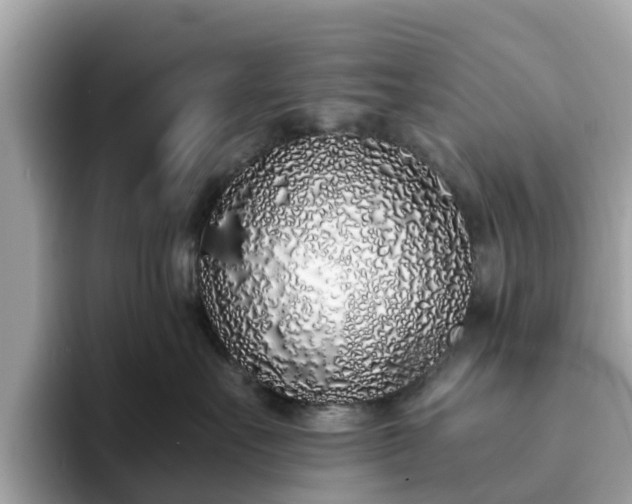 X0000094080527200710261310