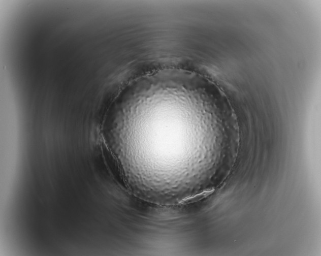 X0000094080528200710261310