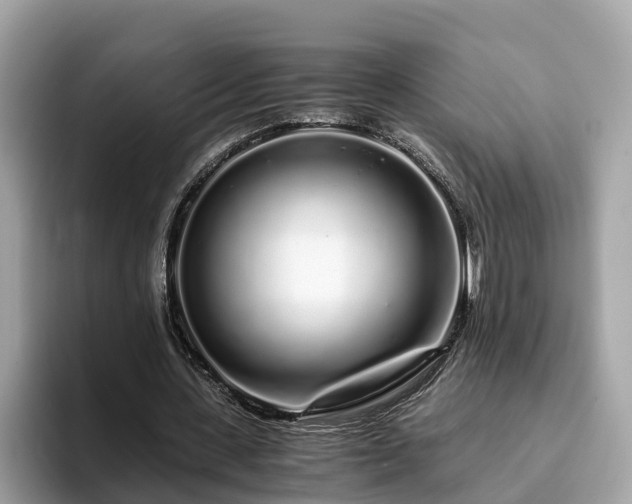 X0000094080531200710261309