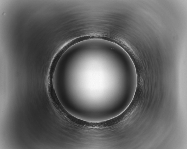 X0000094080532200710261309