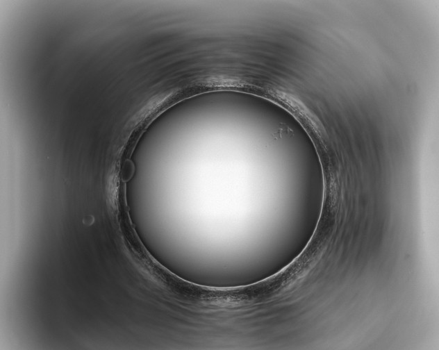 X0000094080533200710261309