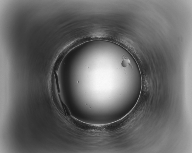 X0000094080535200710261309