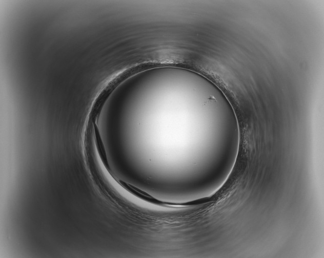 X0000094080536200710261309