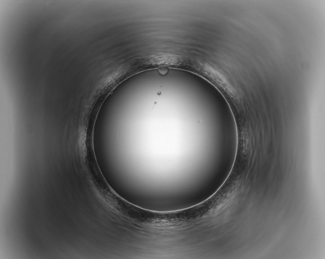 X0000094080538200710261309