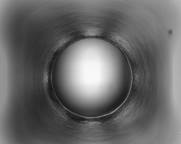 X0000094080539200710261309