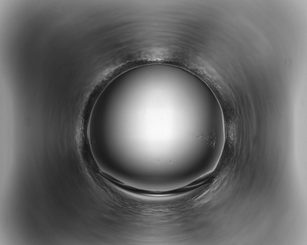 X0000094080540200710261309