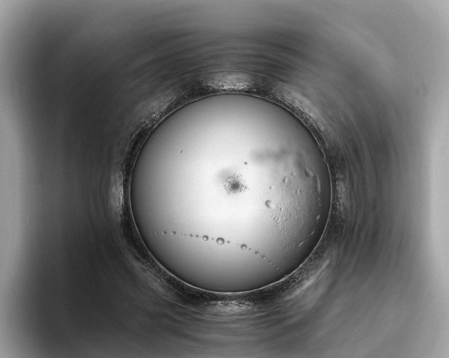 X0000094080541200710261309