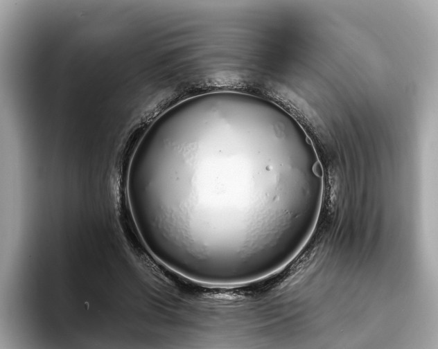 X0000094080542200710261309