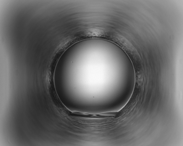 X0000094080544200710261309