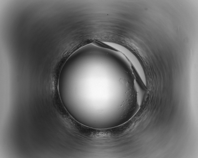 X0000094080546200710261309