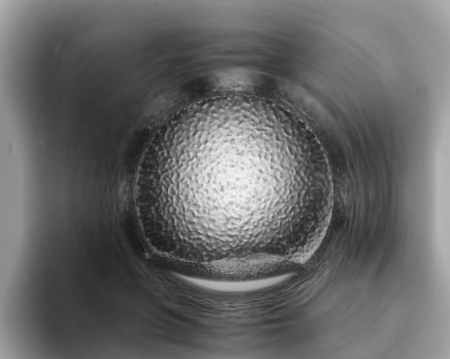 X0000094080551200710261309