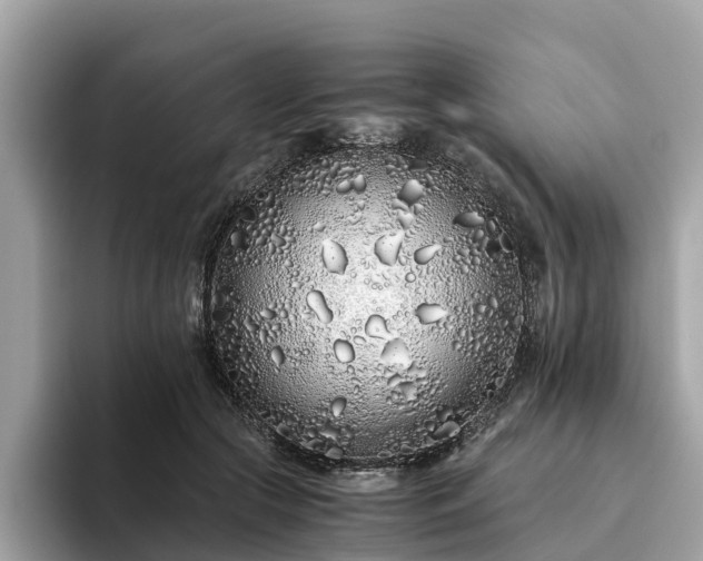 X0000094080553200710261309